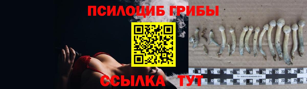 Ступино  Псилоцибиновые грибы Cubensis  Галлюциногенные грибы прущие грибы  Вход с VPN 